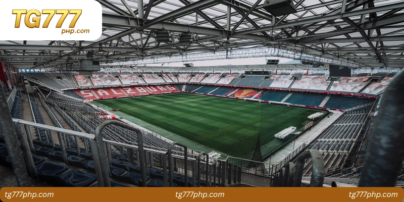 Key Features of Betting Arenas