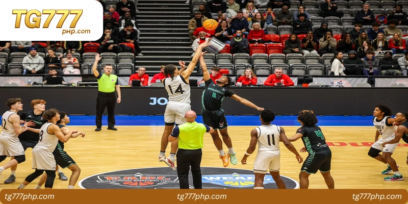 Comparing Basket League Pro Betting Options