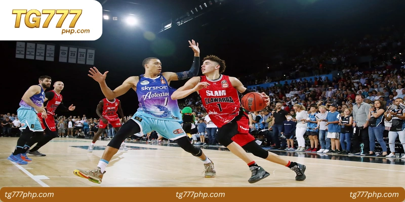 Understanding the Basket League Pro Concept