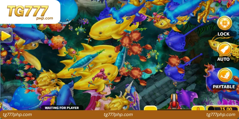 Comparing Fish Shooting Game Features