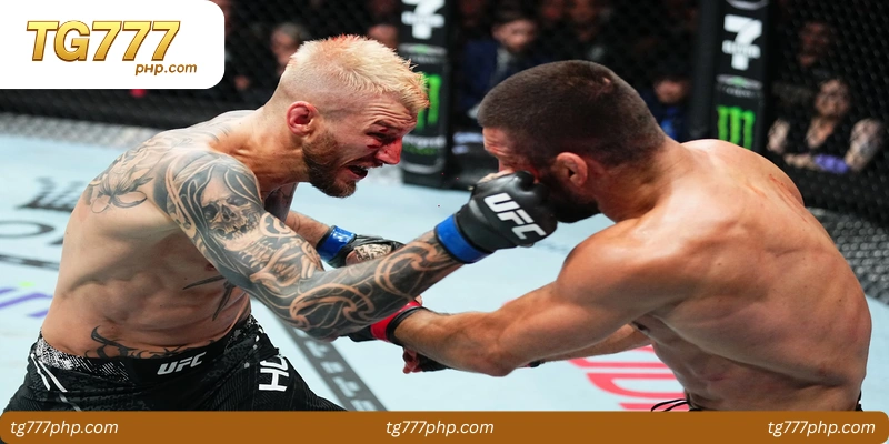 mma-knockout-bet-1