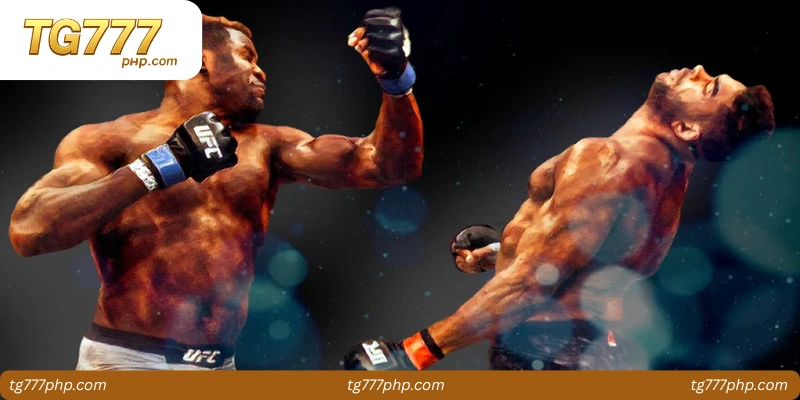Introduction to MMA Knockout Betting