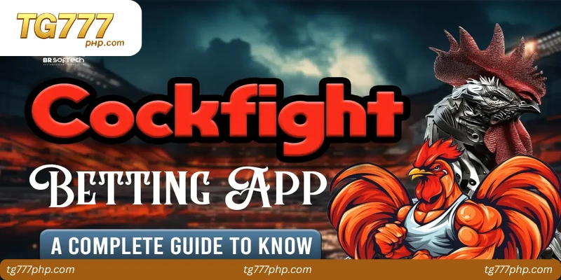 Key Features of Cockfighting Apps