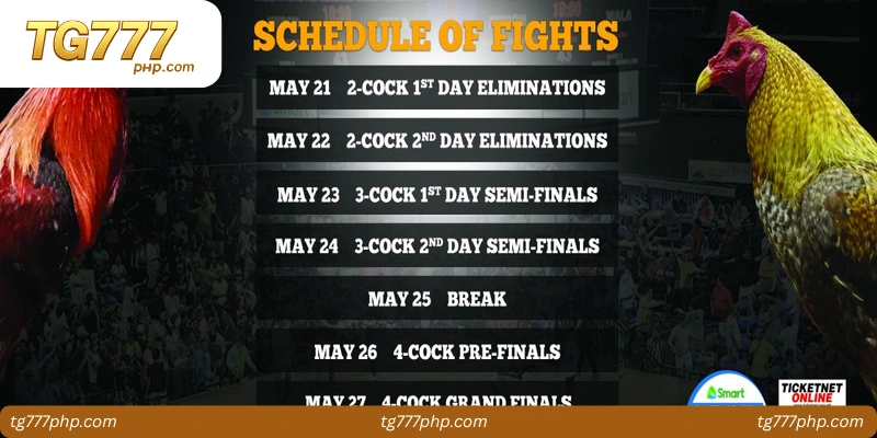 Comparing Key Sabong Schedule Platforms