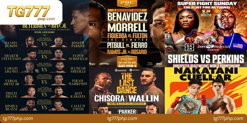 trending-daily-search-to-find-current-fights-1