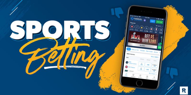 beginner-betting-guide